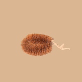 Coir Tawashi vegetable brush